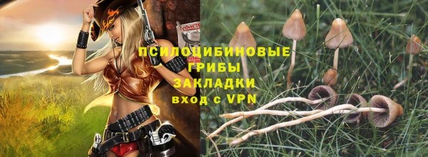 мет Абаза