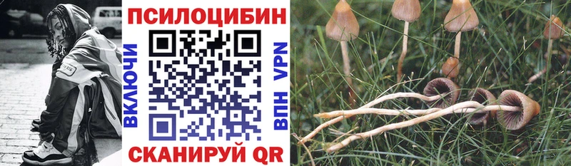 Псилоцибиновые грибы Cubensis  Углегорск 